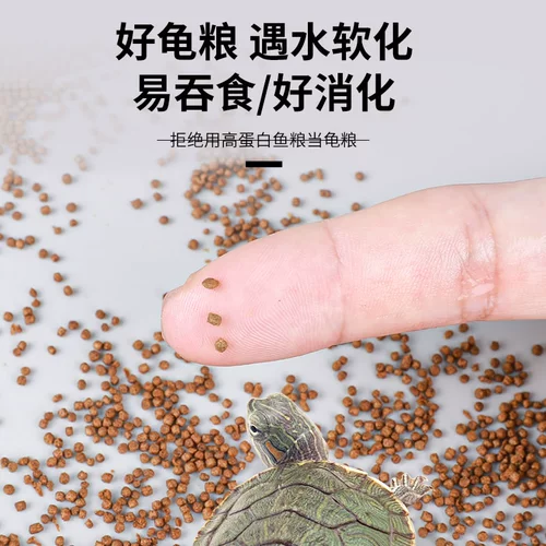 Sensen Young Turtle Food Turtle Кормить молодую черепаху