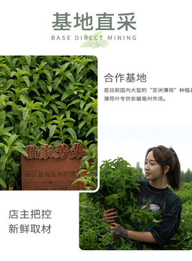 猫家芳集薄荷纯露控油清凉不油腻