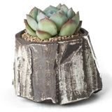 Креативный керамический маленький цветочный горшок для домашнего использования