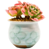 Чангп лето джингджэнь ручной сочные сочные растительные цветочные цветочные глазурь