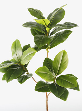 仿真3叉玉兰叶3D打印家居装饰造景摆件仿真玉兰枝 假植物跨境