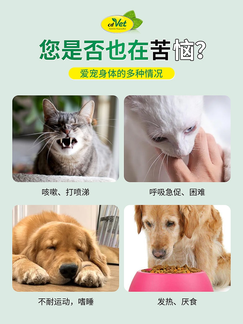 cdvet止咳露宠物止咳化痰窝咳猫狗通用气喘呼吸急促咳嗽消炎液体 - 图0