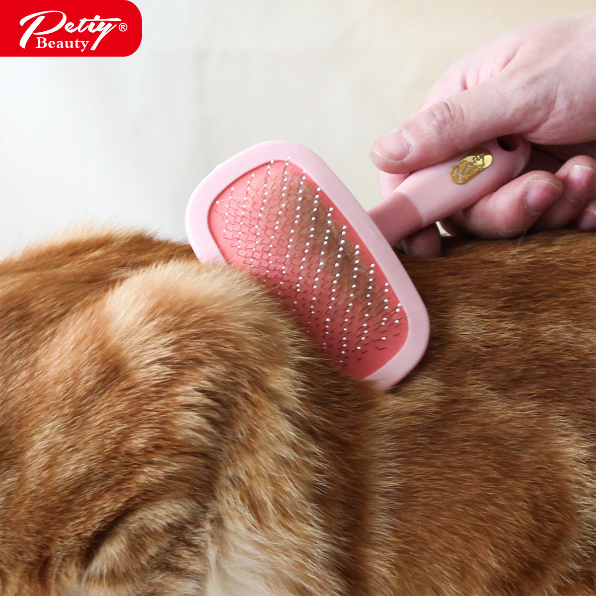 猫狗通用梳精品Petiy宠物按摩针梳旋转猫梳美容梳带保护除毛脱毛,淘宝优惠券,粉丝福利购,淘宝优惠卷