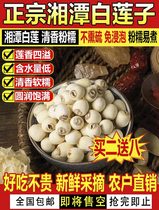 Wei Ying rhyme Zhengzong Xiangtan white lotus seed Hunan special production farmhouse self-production with white lotus heart fresh grinding leather without sulphur dry goods