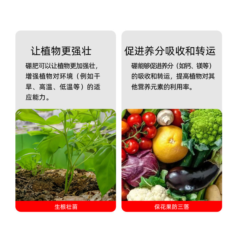 硼肥蔬菜水溶叶面肥基肥油菜硼冲施硼砂通用花卉果蔬果树微量元素,淘宝优惠券,粉丝福利购,淘宝优惠卷