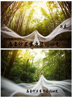 包邮新款超长拖尾5米旅拍头纱