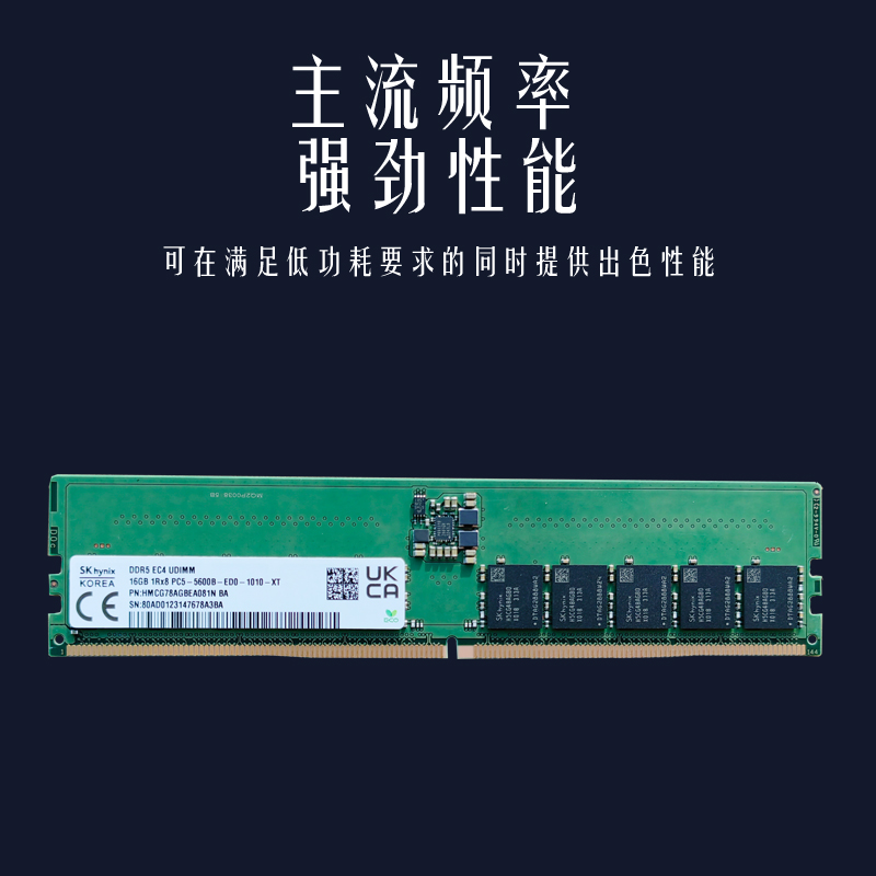 SK Hynix海力士16G服务器内存条DDR5纯ECC 5600mhz全新工作站内存 - 图0