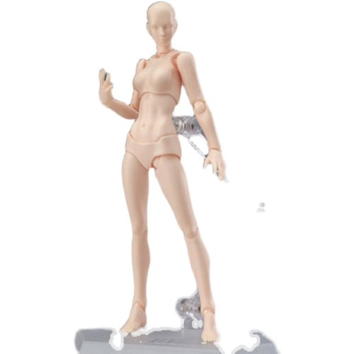 figma素体美术人体模型玩具日本人偶关节可动成人绘画肌肉shf素体_虎窝淘