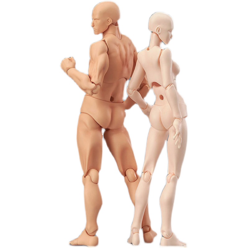 figma 人体模型 figma 人体模型
