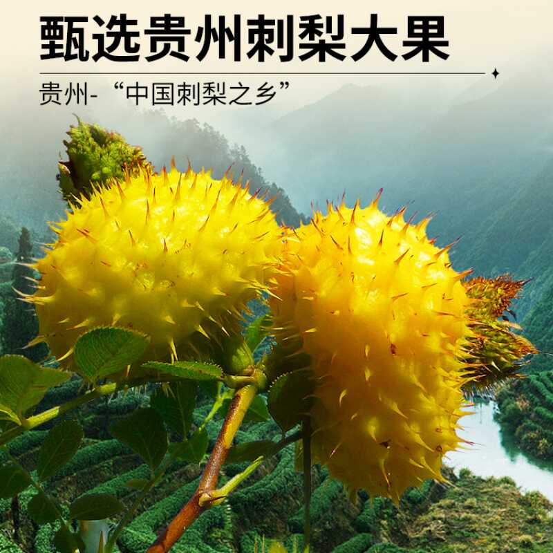 中粮刺梨原浆原汁原液贵州鲜果鲜榨果汁饮料小包装官方旗舰店正品 - 图2