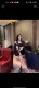 2024 Spring New Black Suit Jacket ຂອງແມ່ຍິງໃນສະໄຕລ໌ເກົາຫຼີແບບສະບາຍໆ ທີ່ນິຍົມກັນໃນປີນີ້