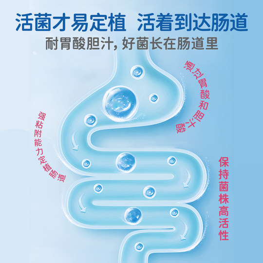 科汉森Bb12进口益生菌滴液LGG双菌百亿活菌呵护肠胃肠道小卫士