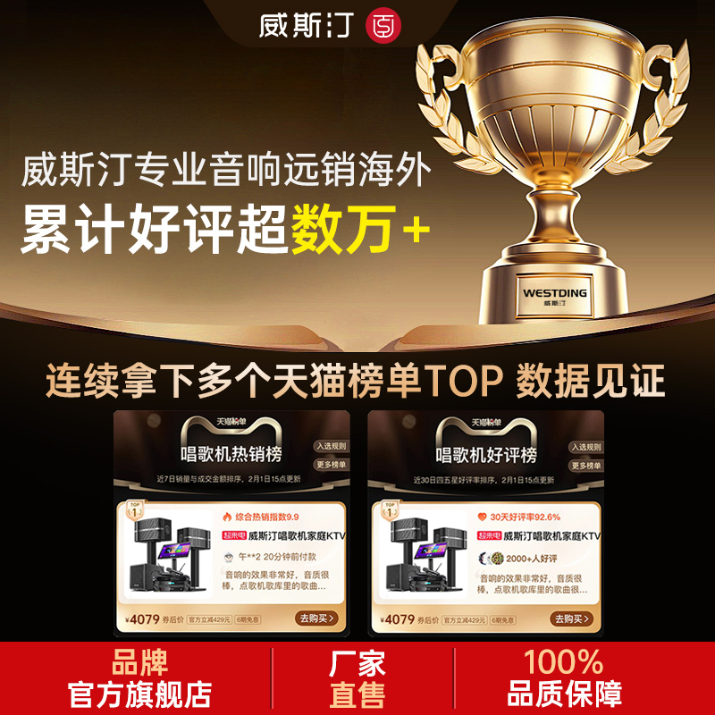 2025 new private audio and video ktv audio set