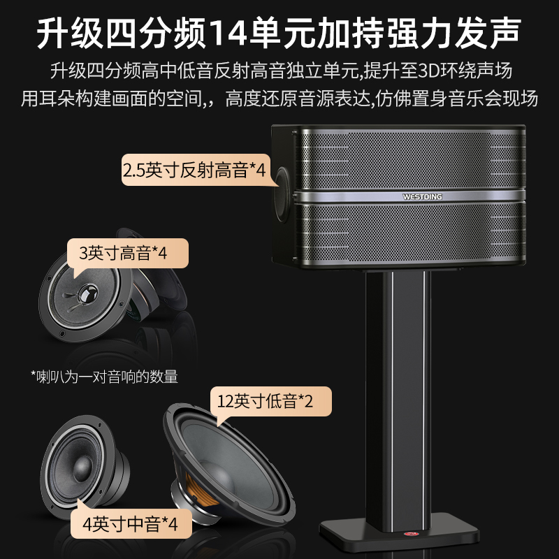 Westin 12-inch professional KTV theater audio