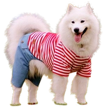 Собачья одежда Весна и осенью Самоид Золотой Мао Лабрадор Середина Сердца ДОБА