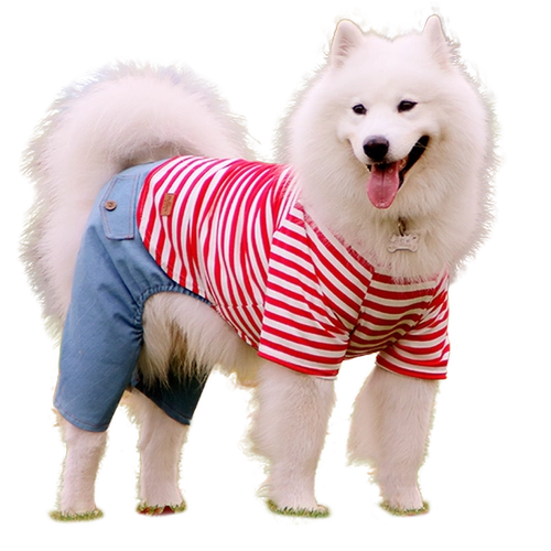 Собачья одежда Весна и осенью Самоид Золотой Мао Лабрадор Середина Сердца ДОБА