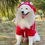 Одежда большой собаки осень и зимняя самуи золотая греся зима