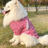 Samoyed Clothing Big Dog Summer Golden Retarine Labra Multi -Borderder Spring Summer -Summer Shized Chine Thin Clothing