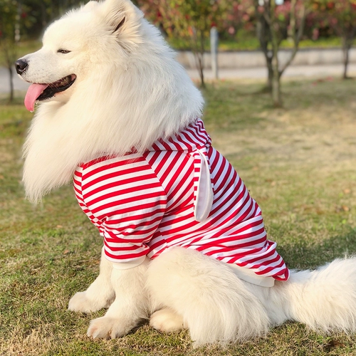 Samoyed Clothing Big Dog Summer Golden Retarine Labra Multi -Borderder Spring Summer -Summer Shized Chine Thin Clothing