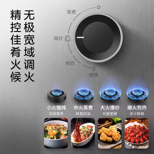 华帝不锈钢燃气灶i10316A/065A煤气灶双灶家用灶具嵌入式天然气炉 - 图2