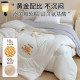 Class A cotton quilt, mother quilt, two-in-one air-conditioned quilt, cotton quilt, student summer cool quilt core, four-season universal quilt, winter quilt