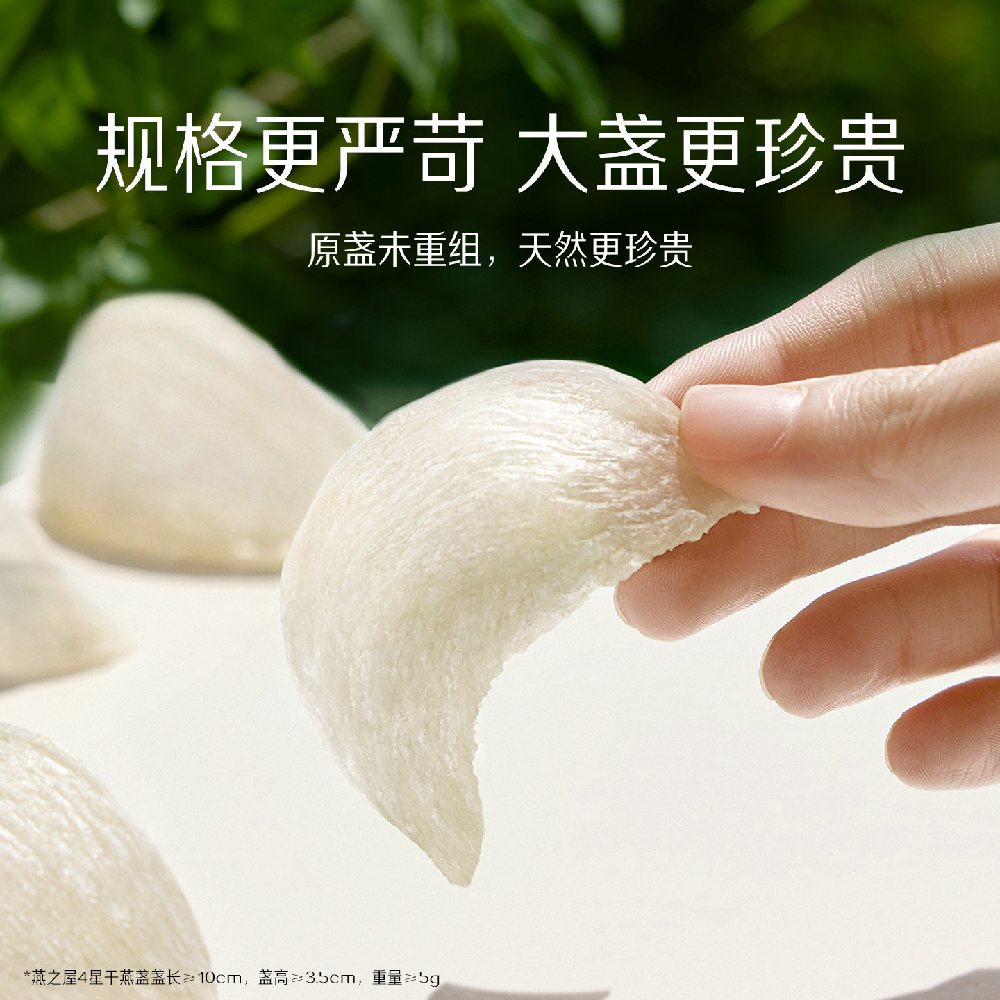 【年货礼盒】燕之屋5星干燕窝100g印尼溯源进口燕盏正品孕妇干盏,淘宝优惠券,粉丝福利购,淘宝优惠卷