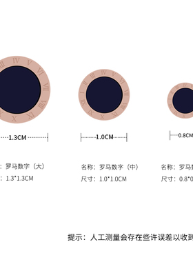 罗马数字钛钢黑色镀18k金耳环