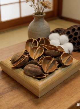 【泡桐壳】泡桐果壳 豆荚娃娃果壳种子风铃DIY天然装饰材料