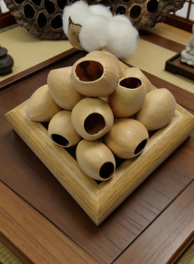 【平口凤凰蛋】 铁树果壳、豆荚娃娃果壳种子风铃DIY天然装饰材料