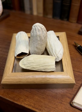 【芒果壳】 芒果壳 豆荚娃娃果壳种子风铃DIY天然装饰材料