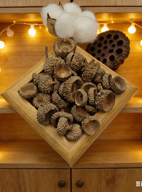 【橡果帽】橡果帽，豆荚娃娃果壳种子风铃DIY天然装饰材料