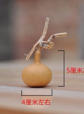 天然小独把葫芦手捻小葫芦手把葫芦异形独把蒜头单肚葫芦鸽哨葫芦