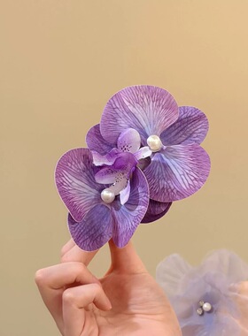 拍照超仙氛围海边蝴蝶兰仿真花朵