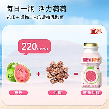 【宜养】芭乐梅子多乳酸菌饮品100g*20瓶[4元优惠券]-寻折猪