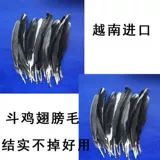 Борьба с курицей сражением куриные куриные крылышки борьба с курицей борьба с куриным крылом