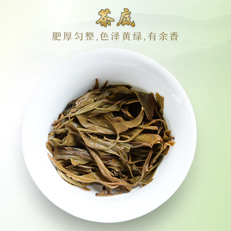 王普号普洱茶生茶滑竹梁子500年纯料古树2016年春茶200克七子饼茶