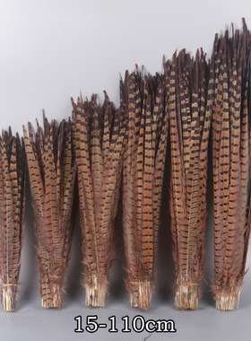 Natural Pheasant Tail Feathers天然山鸡毛舞台装饰羽毛