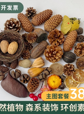 圣诞松果肉桂卷干花盒羊齿叶柠檬片干果蜡烛香薰DIY材料圣诞礼包