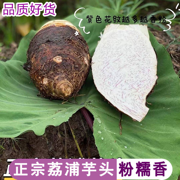 正宗广西荔浦新鲜大芋头整箱应季粉香芋特产槟榔芋紫藤毛芋头5 - 图0