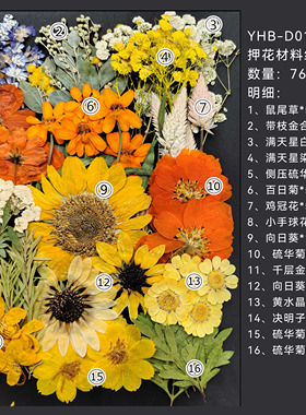 树叶干花包手工材料押花植物标本