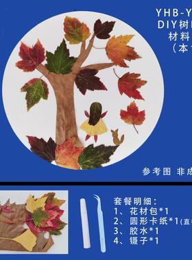 DIY压花树叶画材料包真树叶干花