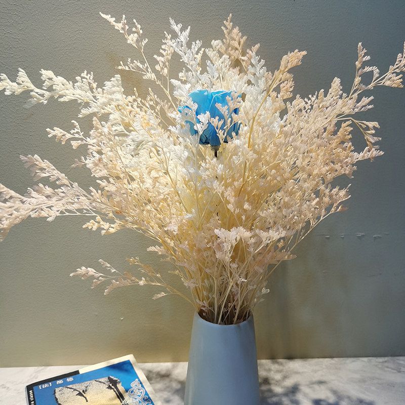 天然干花情人草客厅装饰送女友礼物真花花束陶瓷花瓶干花花艺 金祥源旗舰店 淘优券