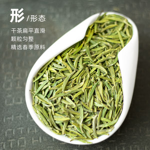 阳春白雪2024茶贵芽原山明前春茶湄潭翠芽雀舌浓香型礼盒绿茶
