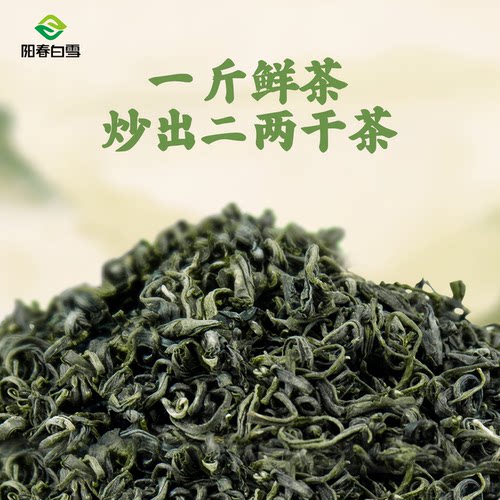 阳春白雪2026新茶湄潭毛峰毛尖绿茶遵义高山浓香型茶叶散茶口粮茶 - 图0