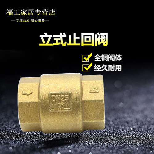 永德信410立式黄铜止回阀 全铜单向阀 止逆阀4分 6分 1寸 - 图1