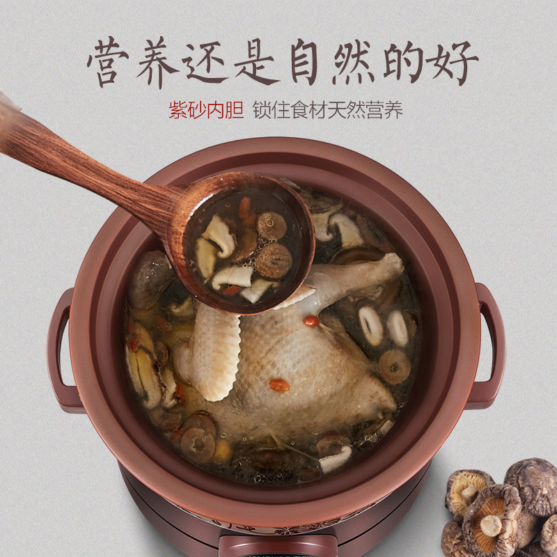  九阳璞旭电炖/煮粥锅/文火炉