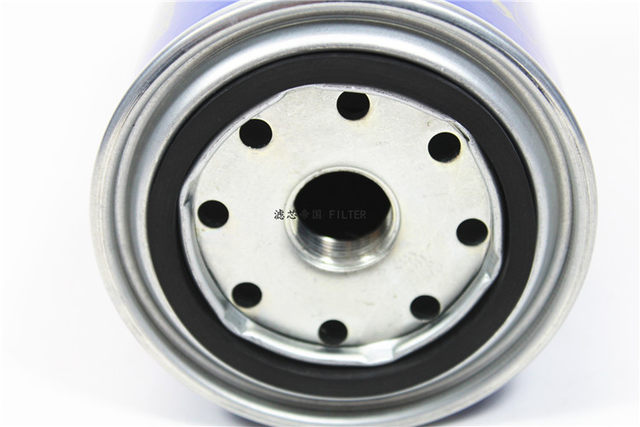 F1172-061 diesel filter Y1007892