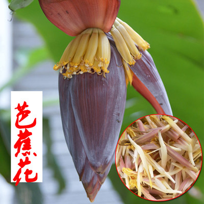 包邮新鲜芭蕉心芭蕉花新鲜现摘香蕉花大蕉花蕾蕉蕾鲜食花卉5斤装 虎窝淘