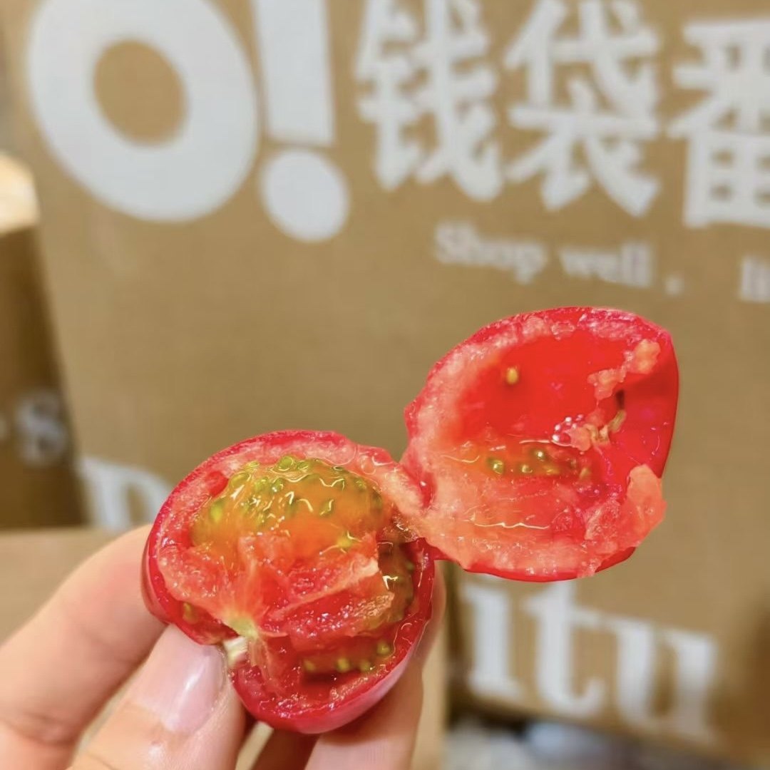 钱袋番茄高糖水果西红柿原种引进甜生吃小柿子味浓自然熟京东快递,淘宝优惠券,粉丝福利购,淘宝优惠卷