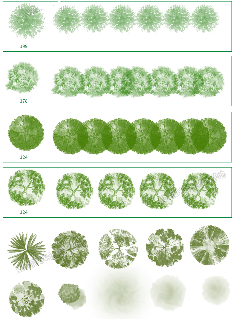 灰色彩平植物笔刷平面树植物ps笔刷小清新水彩树乔木灌木总平面图-图0